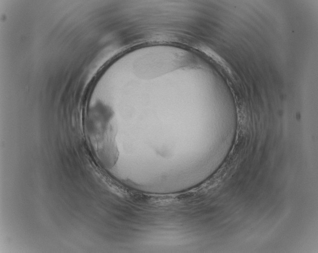 X0000075860886200610061934