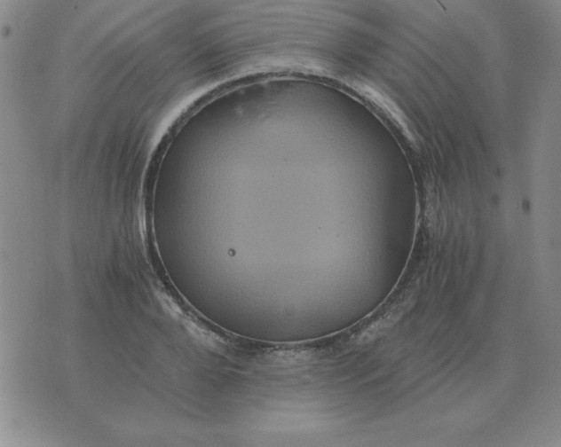 X0000075860888200610061934