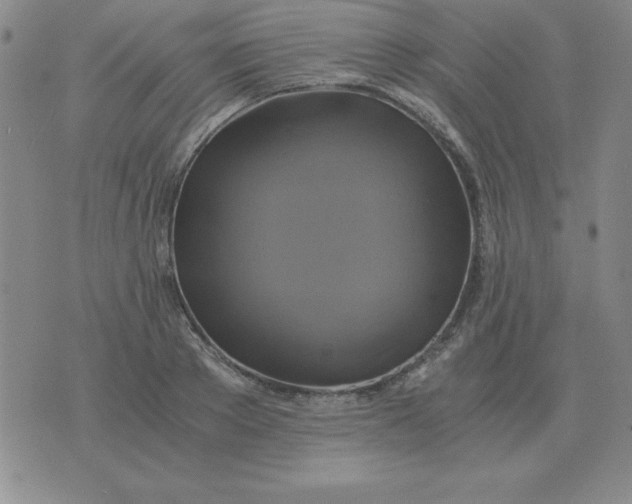 X0000075860889200610061934