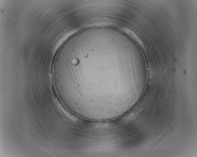 X0000075860890200610061934