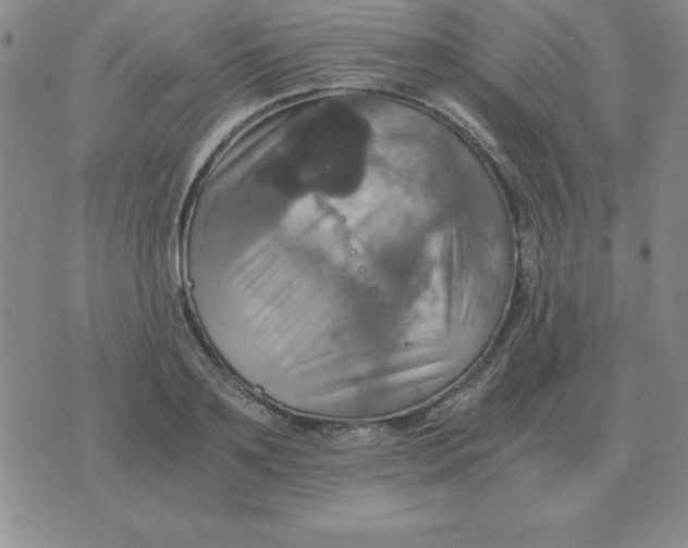 X0000075860891200610061934