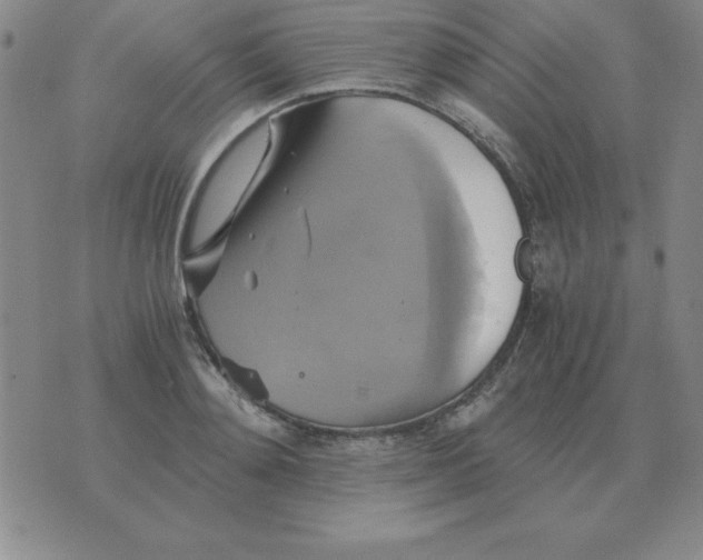 X0000075860892200610061934