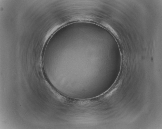 X0000075860893200610061934