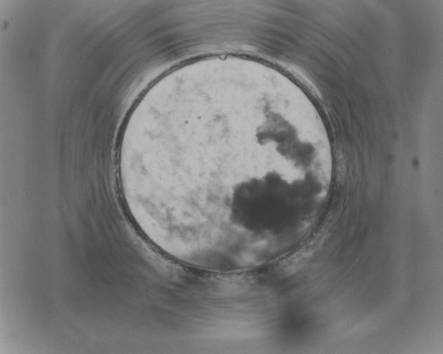 X0000075860895200610061934