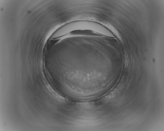 X0000075860896200610061934