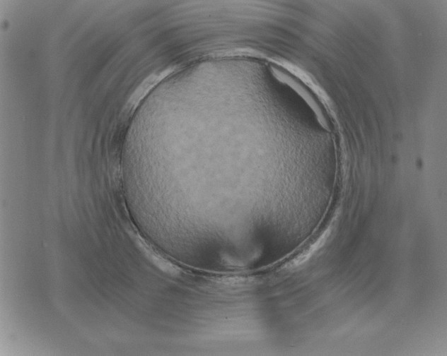 X0000075860897200610061934