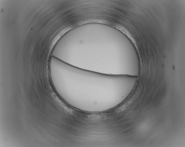 X0000075860898200610061934