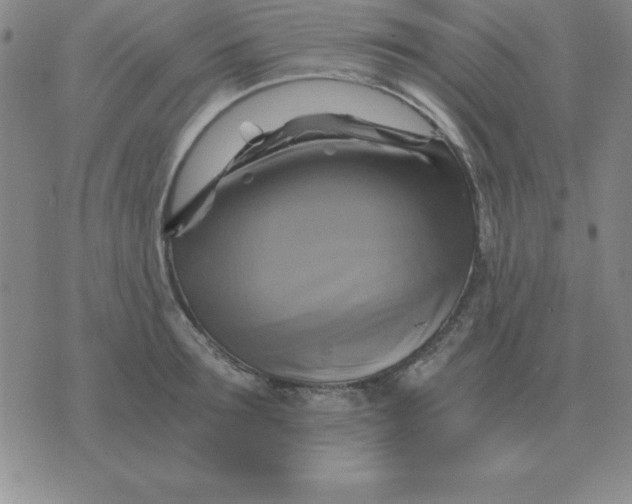 X0000075860899200610061934