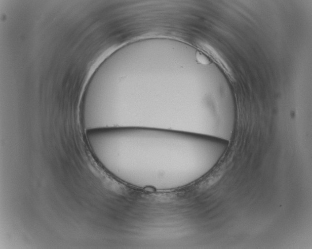 X0000075860900200610061934