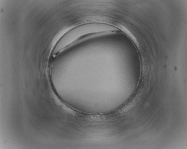 X0000075860901200610061934