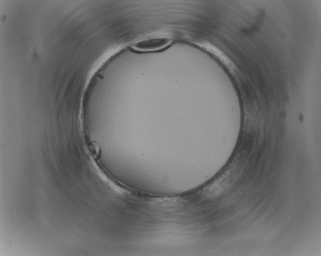 X0000075860902200610061934