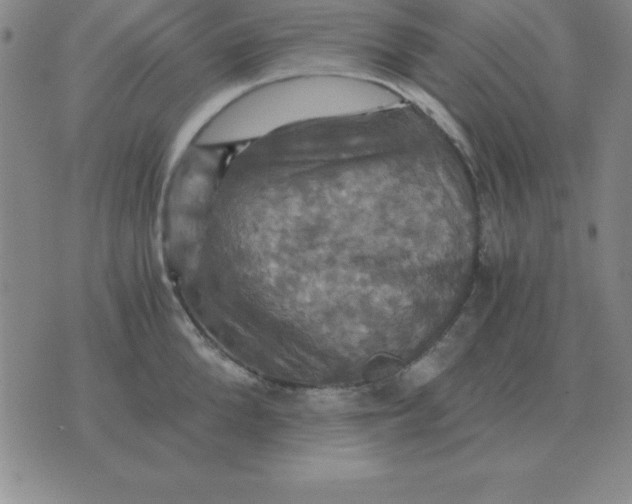 X0000075860904200610061934