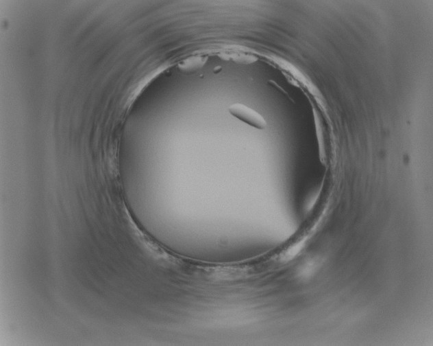 X0000075860905200610061934