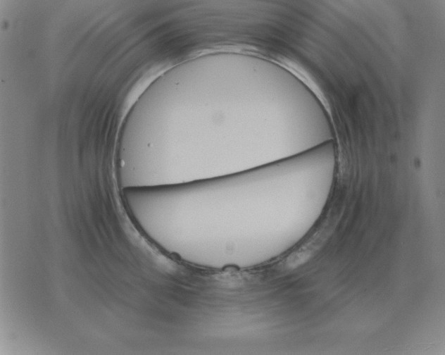 X0000075860906200610061934