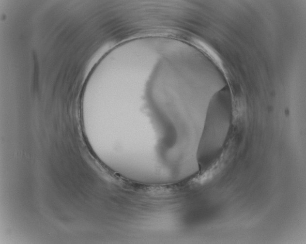 X0000075860907200610061934