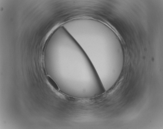 X0000075860909200610061934