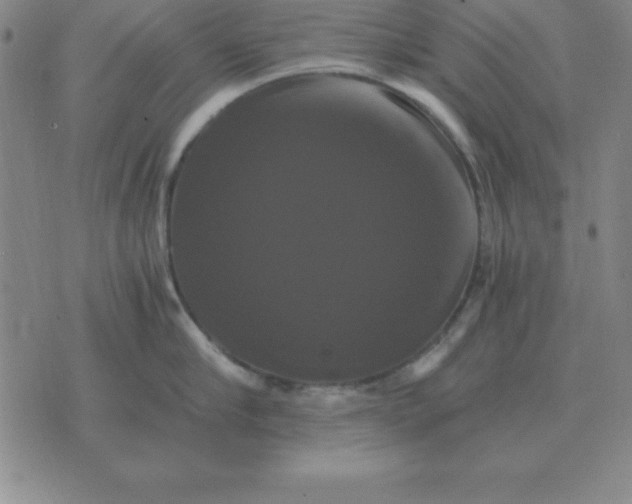 X0000075860910200610061934