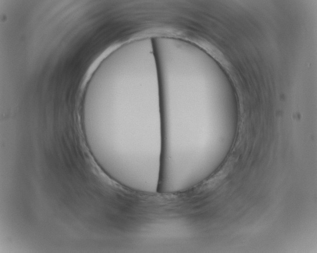 X0000075860912200610061934