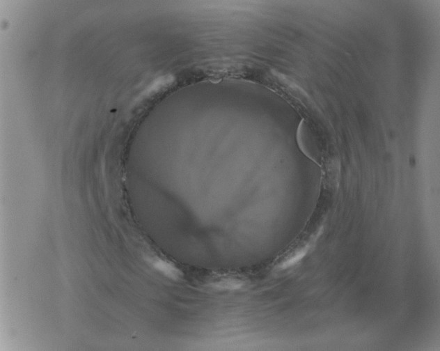 X0000075860913200610061933