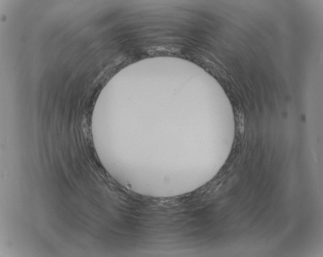 X0000075860915200610061933