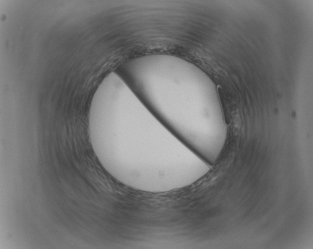 X0000075860916200610061933