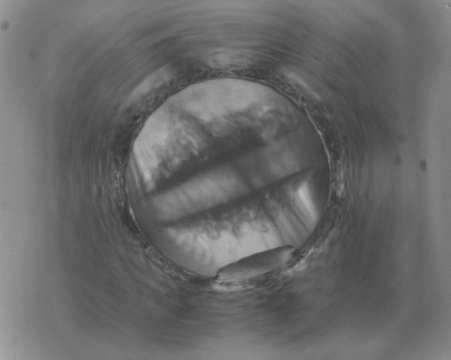 X0000075860917200610061933