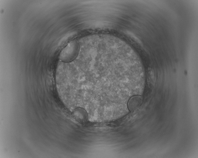 X0000075860918200610061933