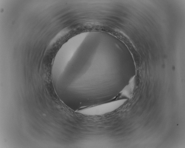 X0000075860919200610061933