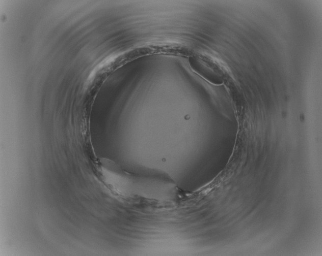 X0000075860920200610061933