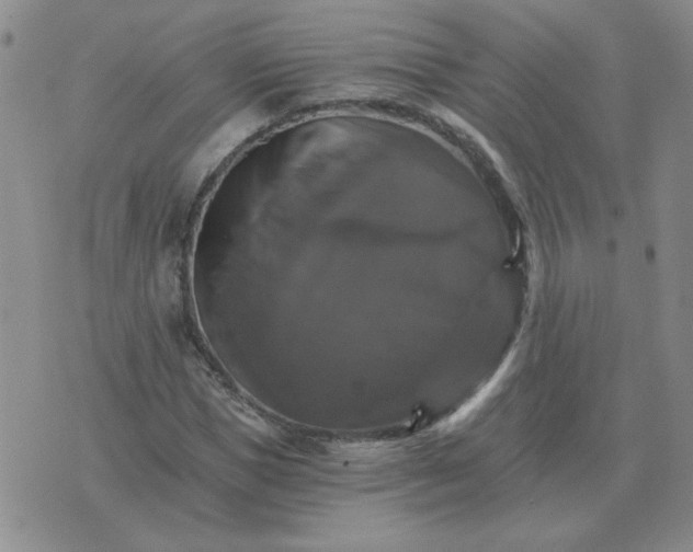 X0000075860921200610061933