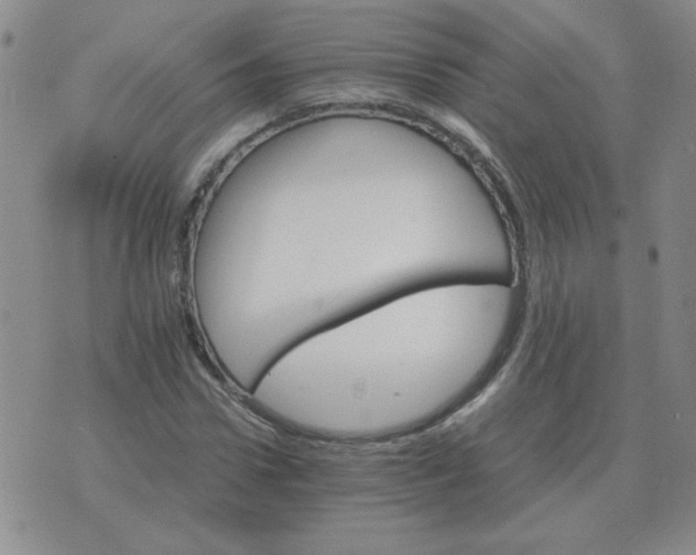 X0000075860922200610061933