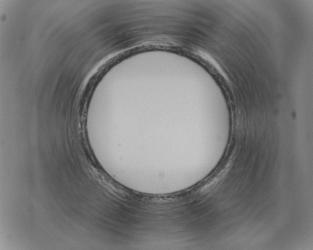 X0000075860923200610061933