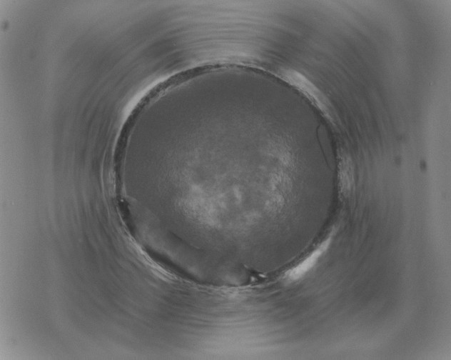 X0000075860924200610061933