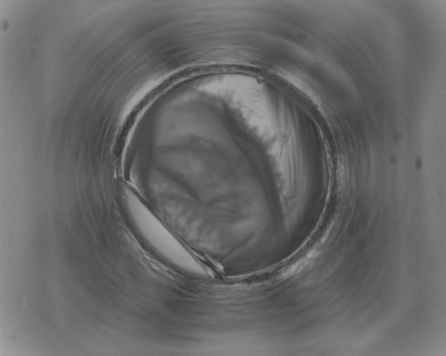 X0000075860925200610061933