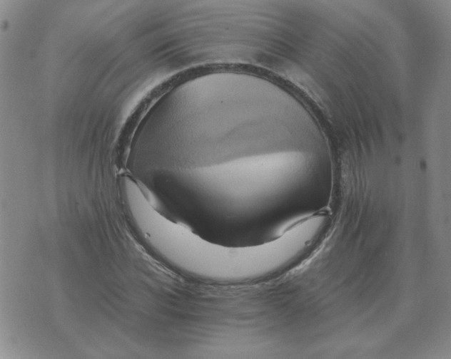 X0000075860926200610061933