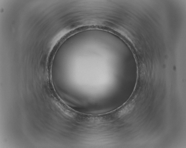 X0000075860927200610061933