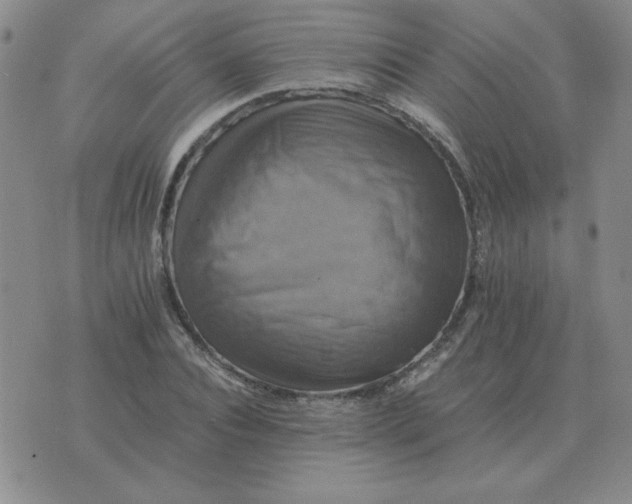 X0000075860928200610061933