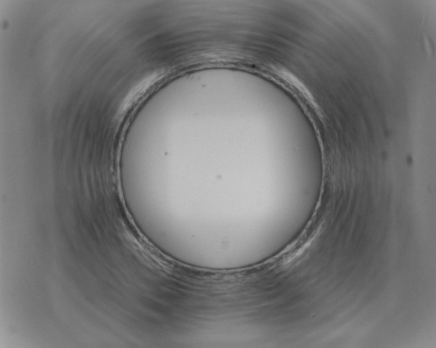 X0000075860930200610061933