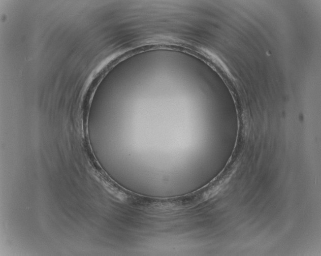 X0000075860931200610061933