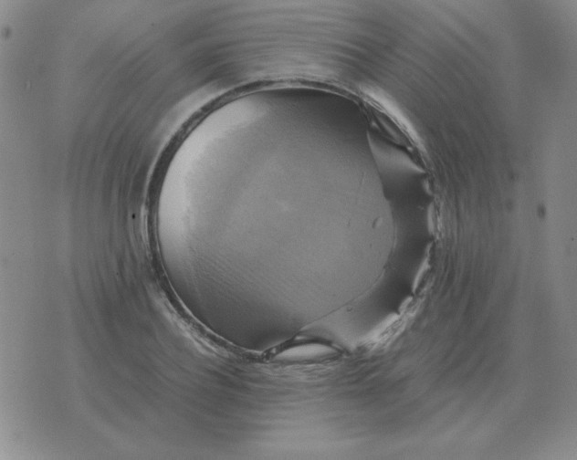 X0000075860932200610061933