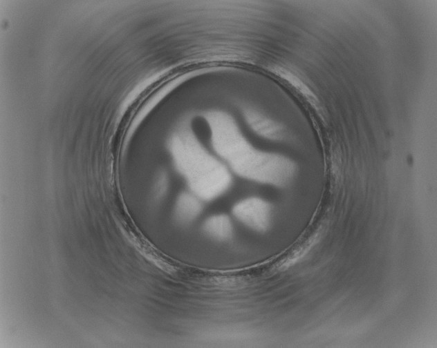 X0000075860933200610061933