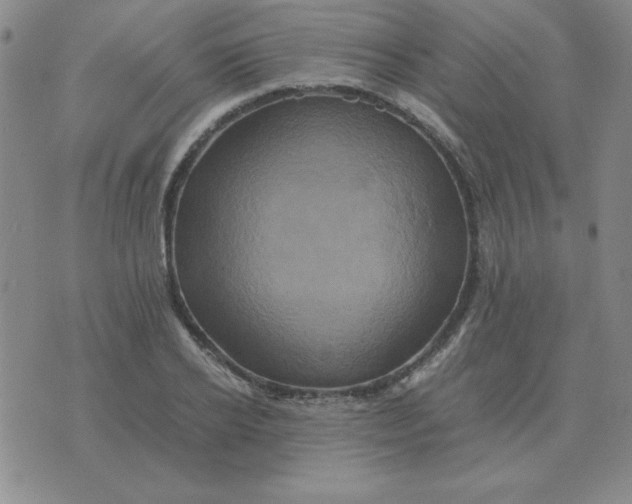 X0000075860934200610061933