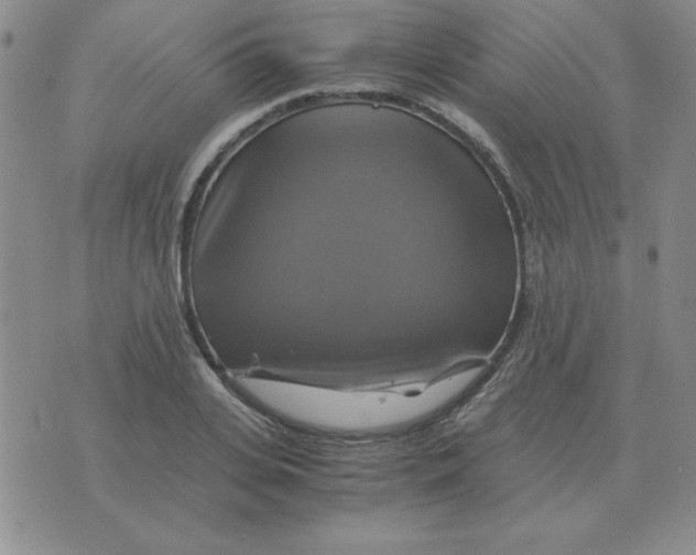 X0000075860935200610061933