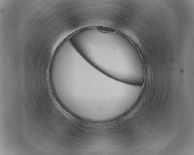 X0000075860936200610061933