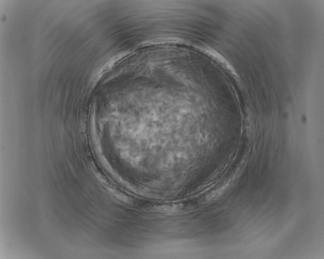 X0000075860937200610061933