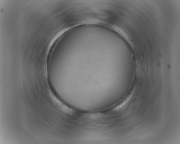 X0000075860939200610061934