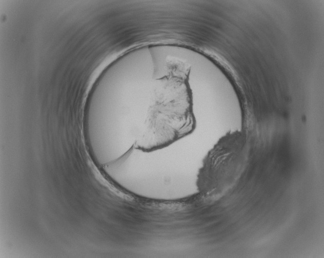 X0000075860941200610061934