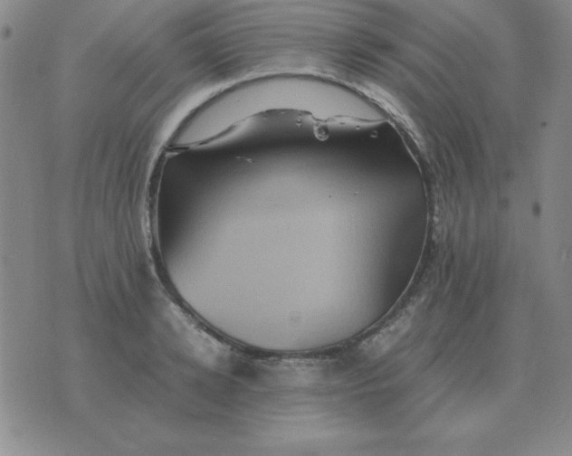 X0000075860942200610061934