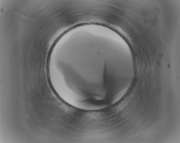 X0000075860943200610061934