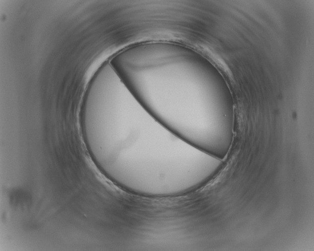 X0000075860944200610061934